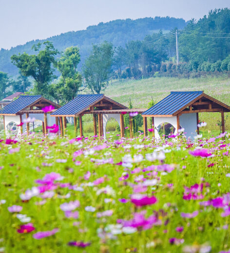 木蘭草原