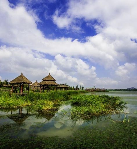 后官湖濕地公園