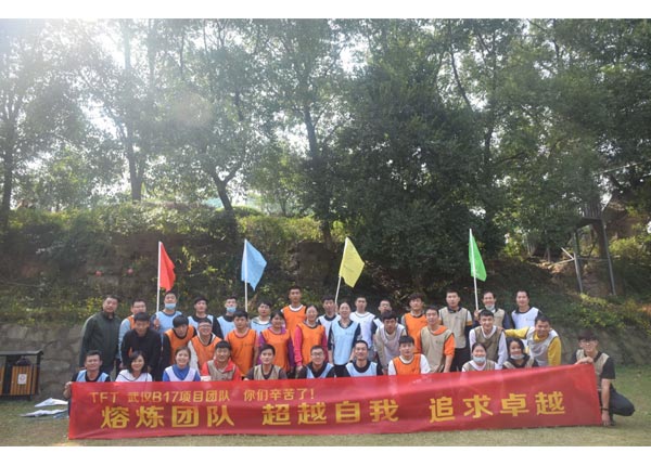 北京七星華創電子股份有限公司